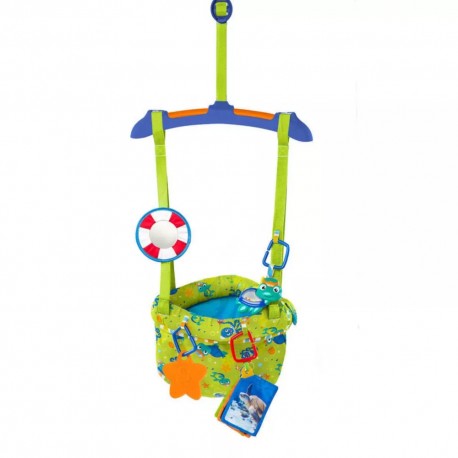 Saltador Baby Einstein 10235 - Envío Gratuito