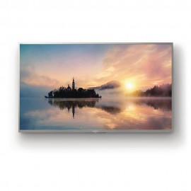 Pantalla LED Sony 49 Pulgadas Smart 4K 49X720E - Envío Gratuito