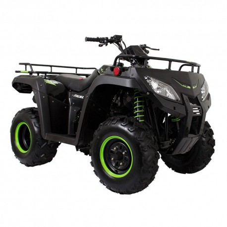 Cuatrimoto Italika ATV250 Negro con Verde - Envío Gratuito