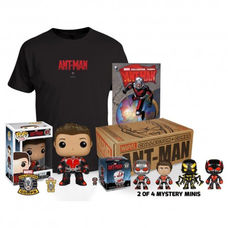 Box Antman Mediana - Envío Gratuito